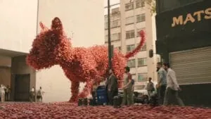Collective – Craft, video