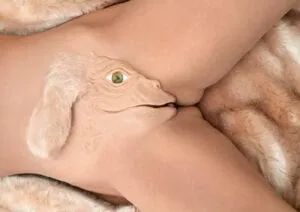 Collective – Craft: Making of Vaginas Untold 1